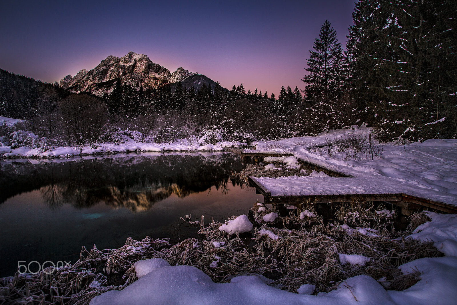 Canon EOS-1D X sample photo. Sunrise- zelenci (slovenia) photography