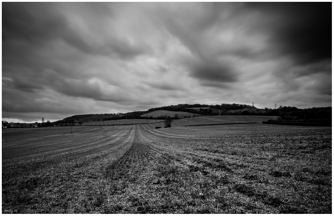 Canon EOS 60D sample photo. Across the fields photography