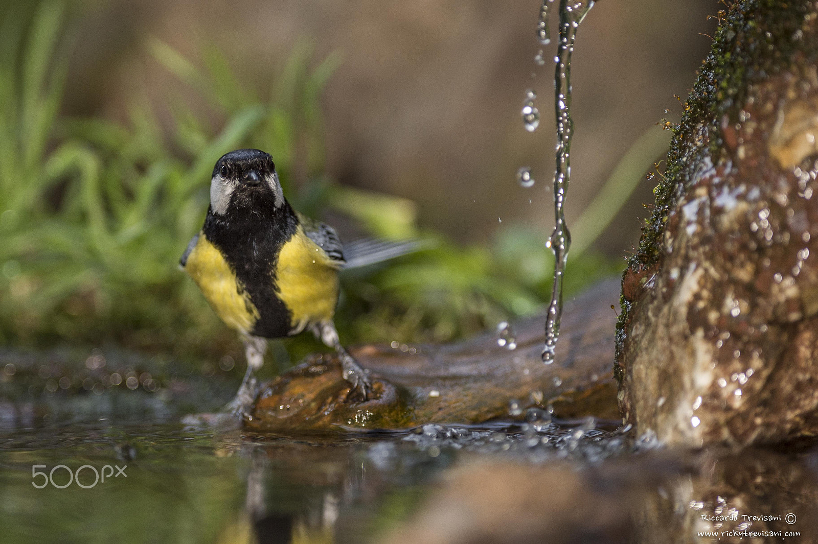 Nikon D4 sample photo. Looking the waterfall photography