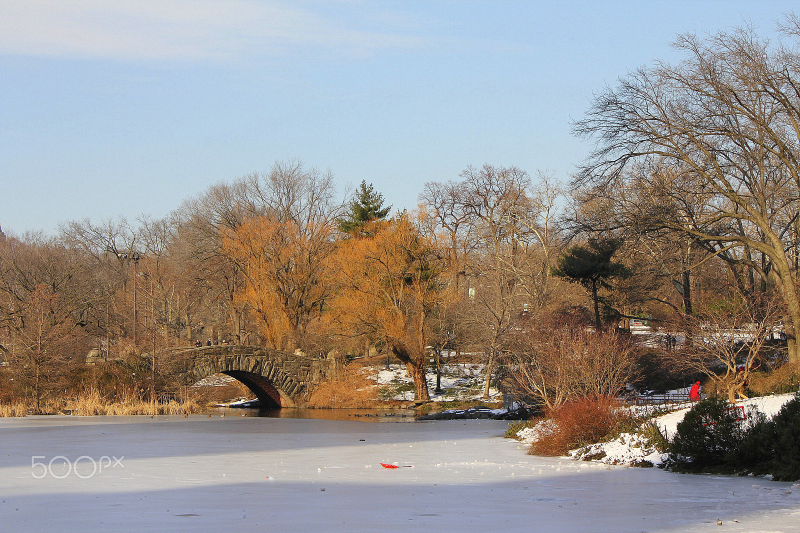 Canon EOS 550D (EOS Rebel T2i / EOS Kiss X4) sample photo. Central park photography