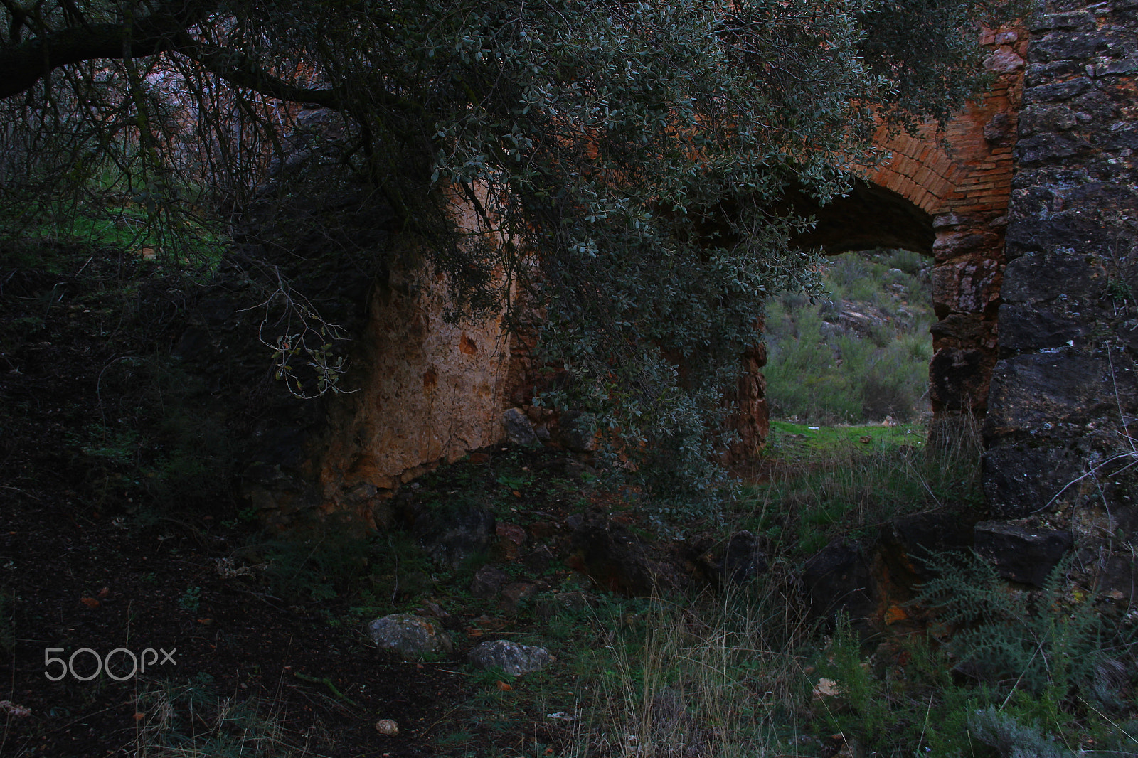 Canon EF-S 18-135mm F3.5-5.6 IS sample photo. Puerta photography