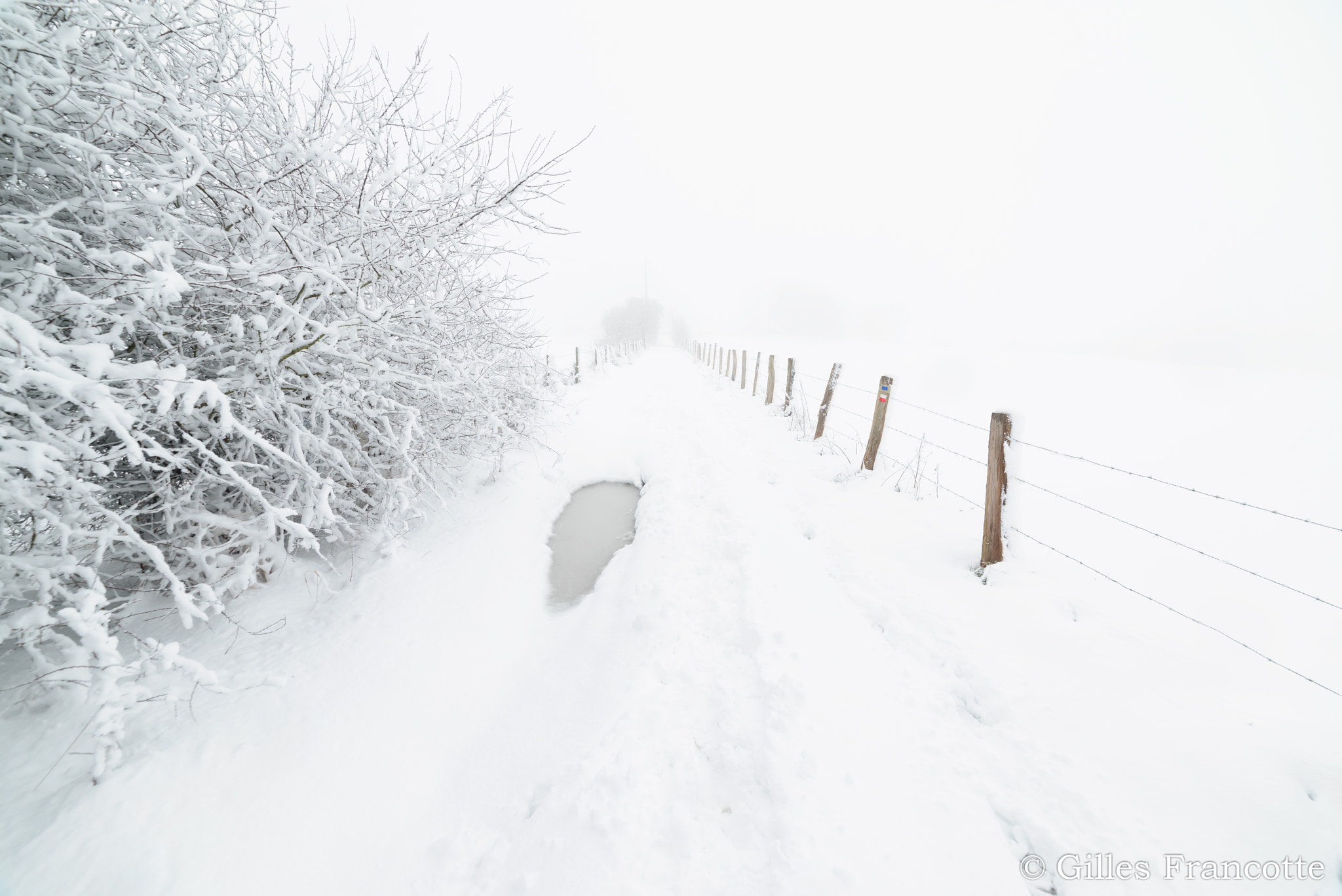 Nikon D800 + Samyang 14mm F2.8 ED AS IF UMC sample photo. Lost in the snow. photography