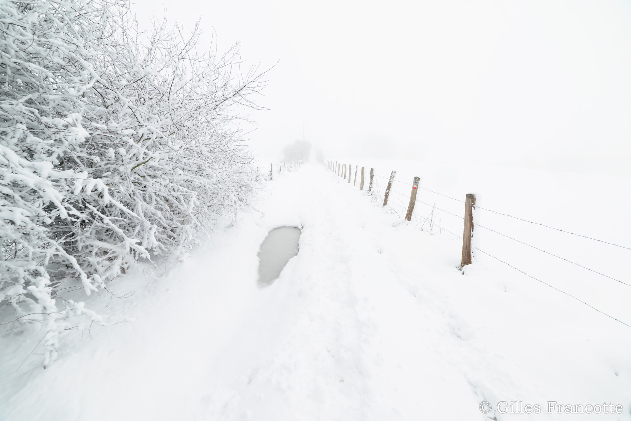 Samyang 14mm F2.8 ED AS IF UMC sample photo. Lost in the snow. photography