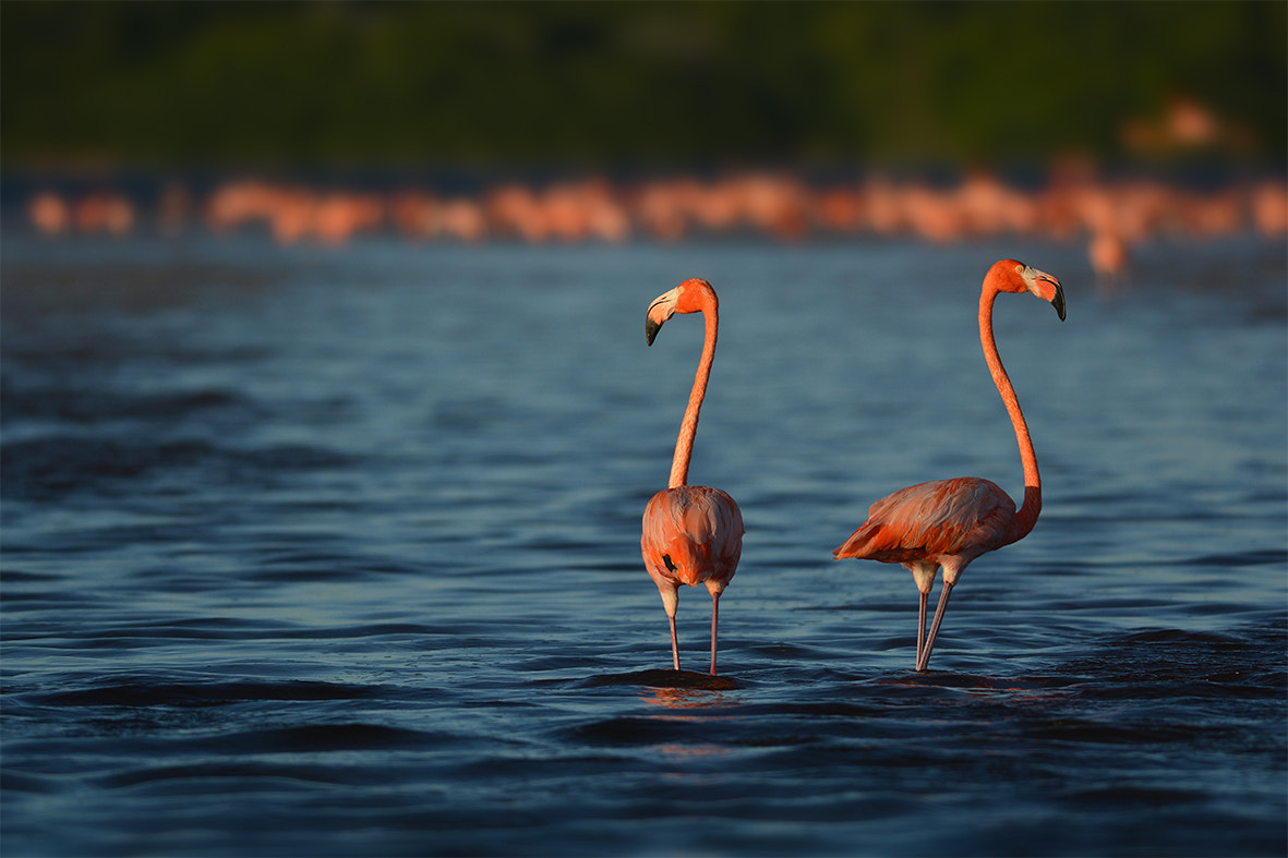 Nikon D7100 sample photo. Les pieds dans l'eau photography