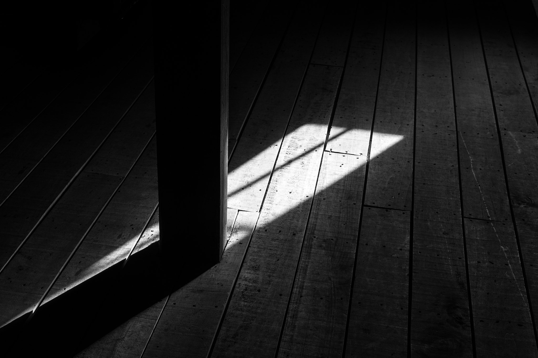 Sigma 50mm F1.4 EX DG HSM sample photo. Light photography