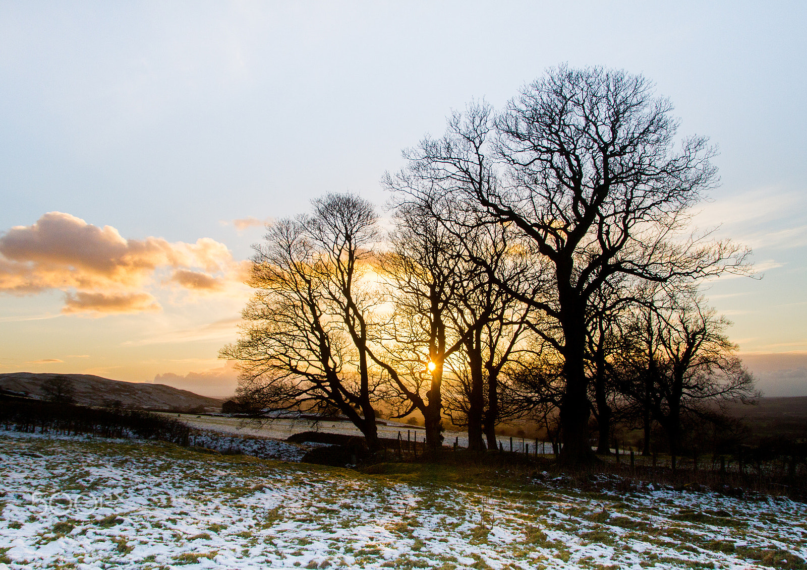 Canon EOS 7D + Sigma 18-250mm F3.5-6.3 DC OS HSM sample photo. Winter gold photography