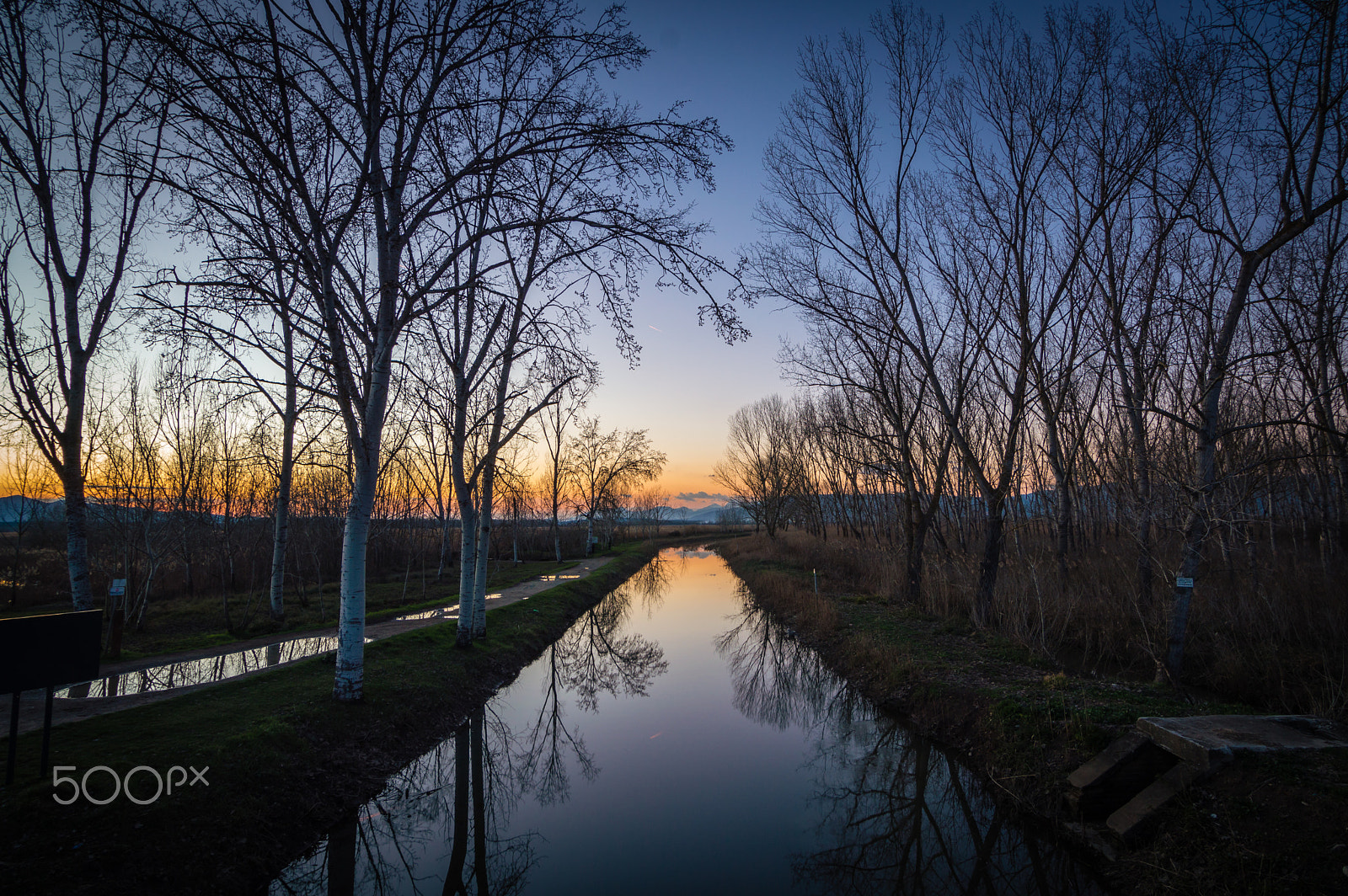 Nikon D3200 sample photo. The road made of sky photography