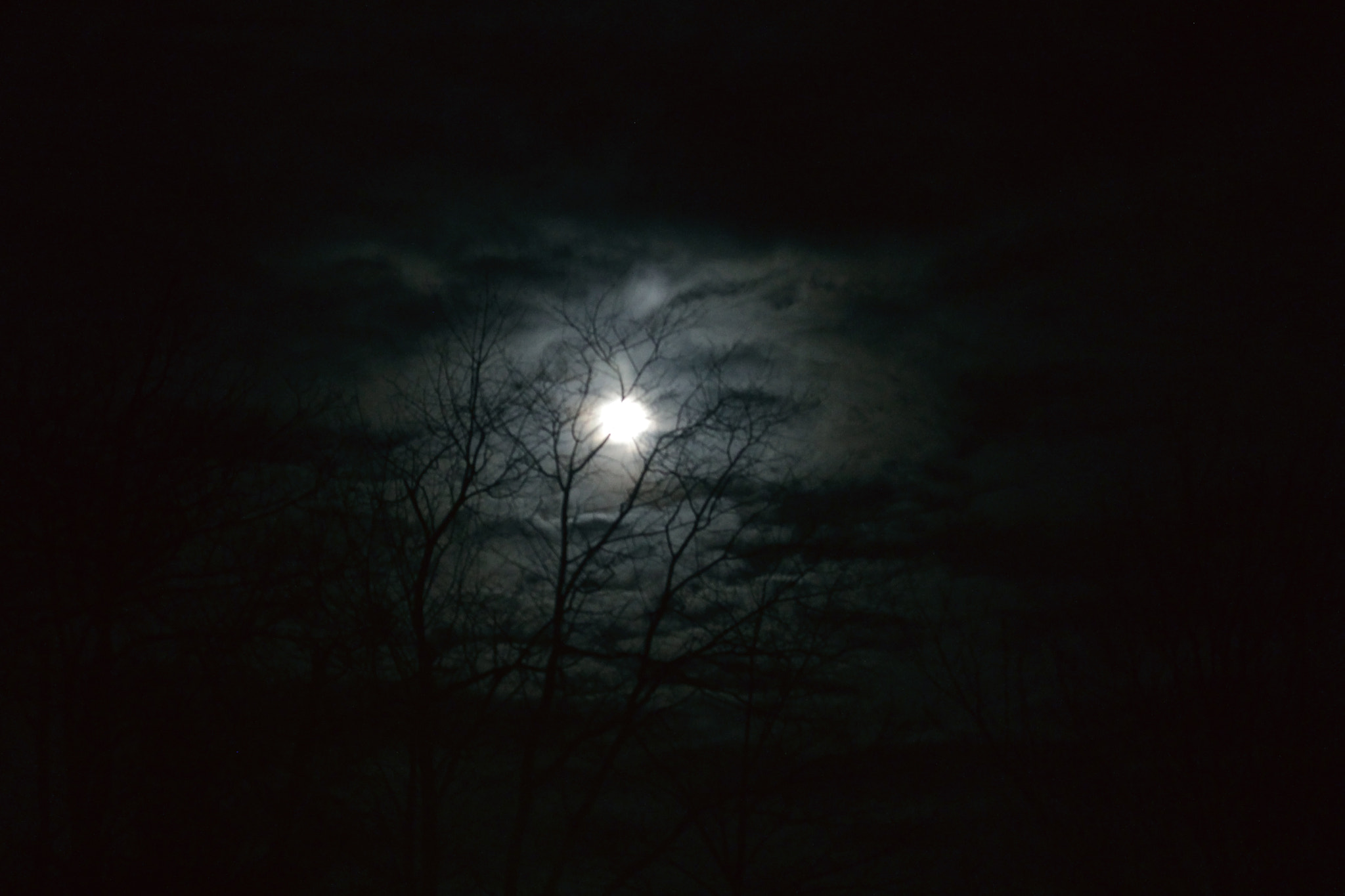 Canon EF-S 60mm F2.8 Macro USM sample photo. Spooky photography