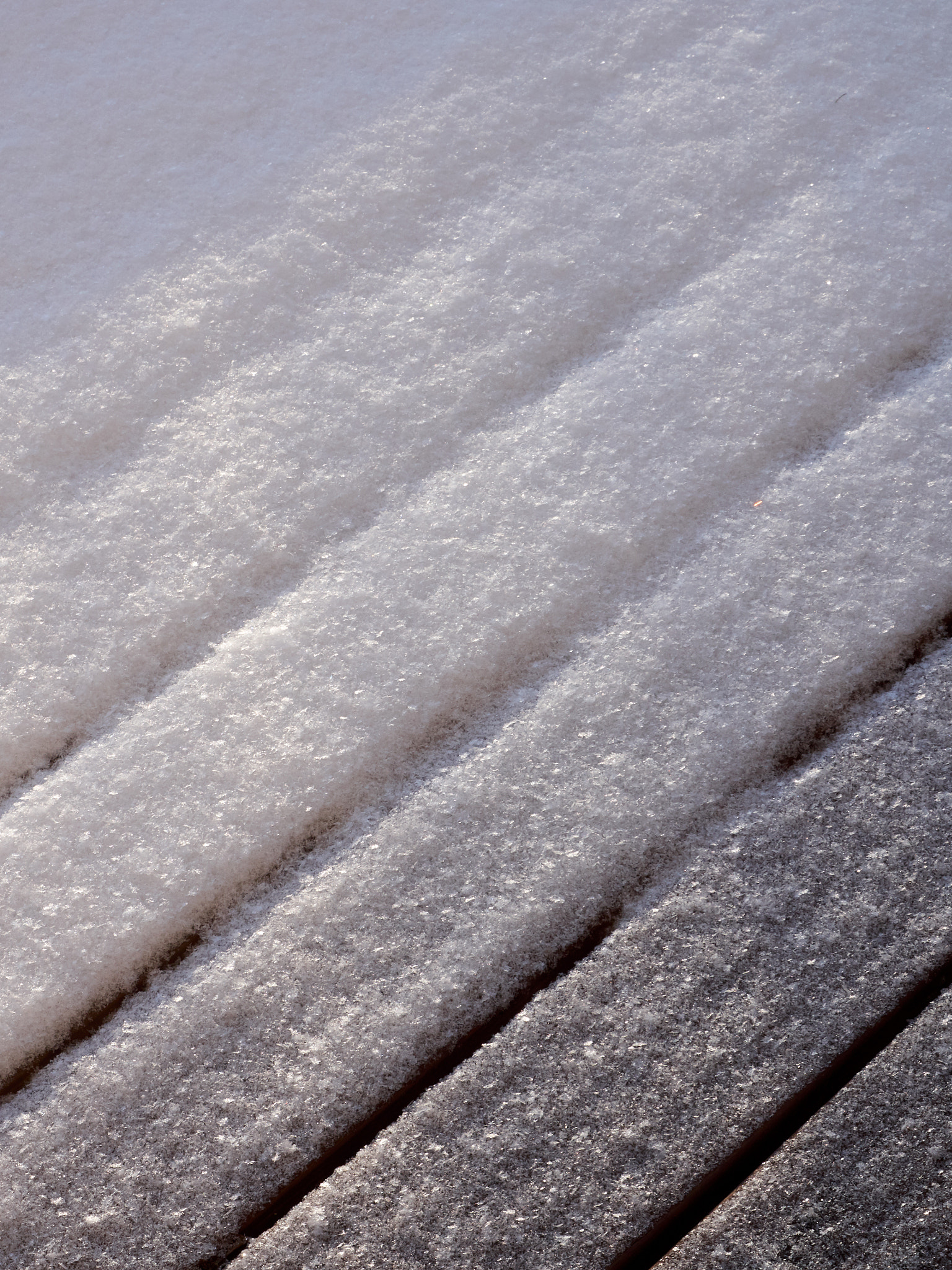 Olympus OM-D E-M5 sample photo. Pure and pristine photography