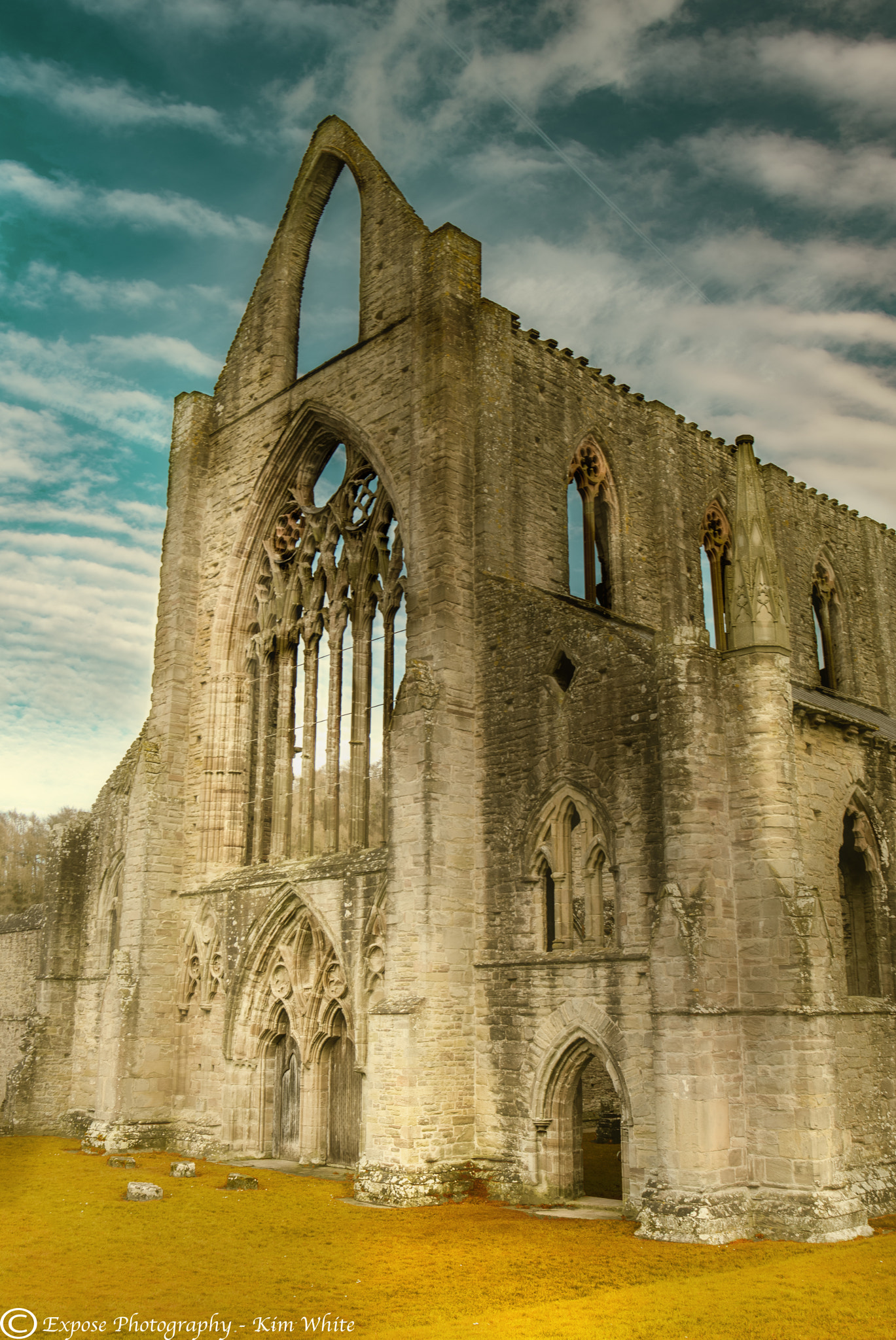 Nikon D500 sample photo. Tintern abbey photography