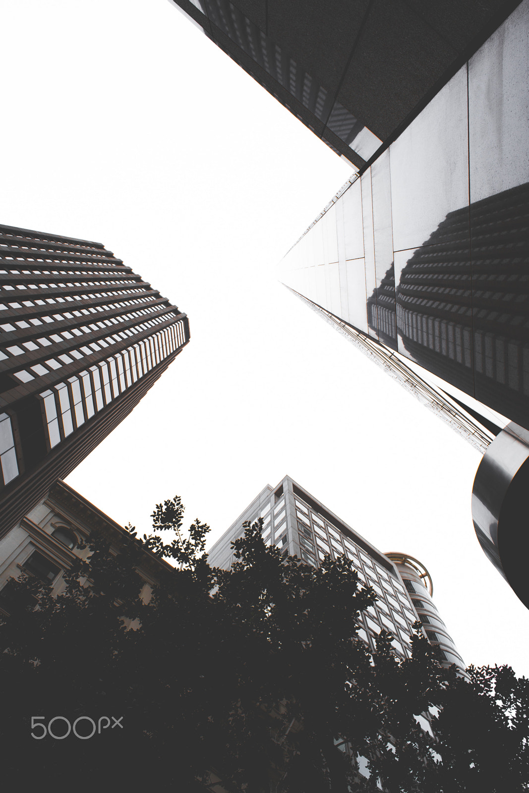 Canon EF 28mm F1.8 USM sample photo. Look up! photography