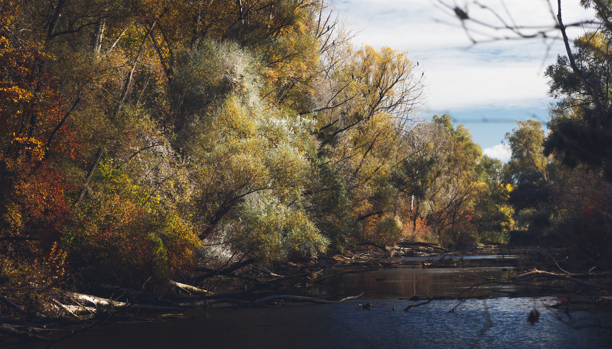 Canon EOS 550D (EOS Rebel T2i / EOS Kiss X4) sample photo. Herbst photography