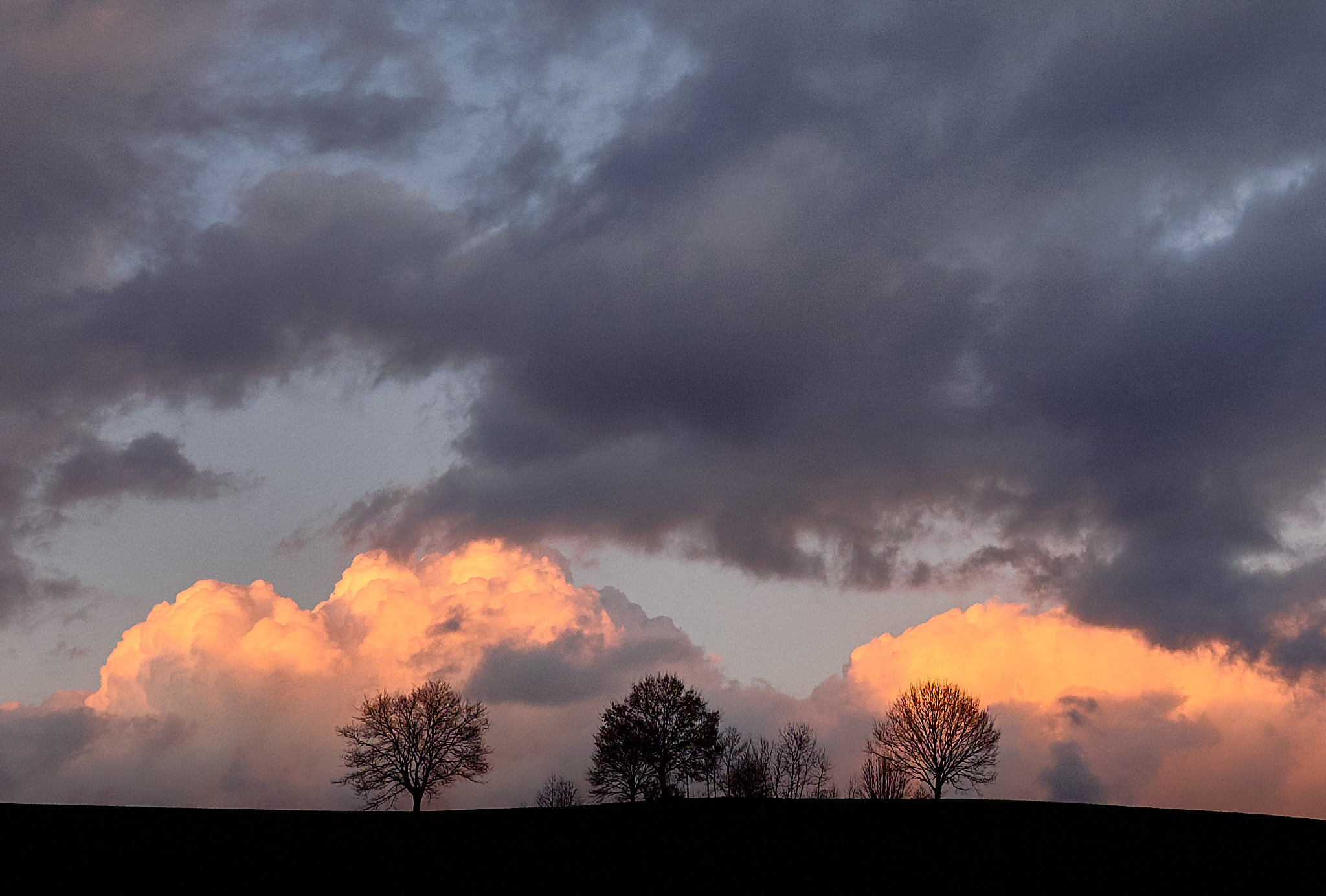 Fujifilm XF 16mm F1.4 R WR sample photo. Trees@sunset photography