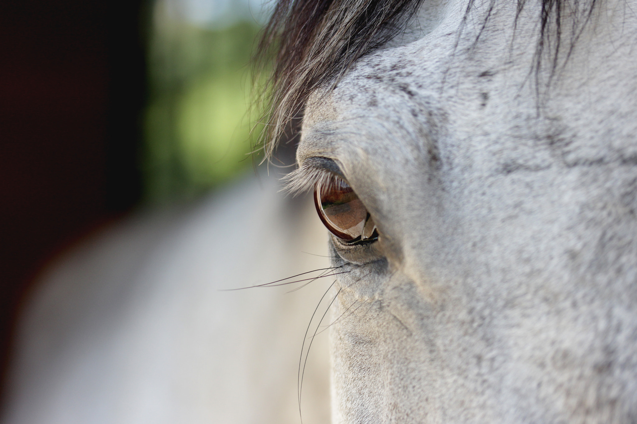 Canon EF-S 60mm F2.8 Macro USM sample photo. Charcoal photography