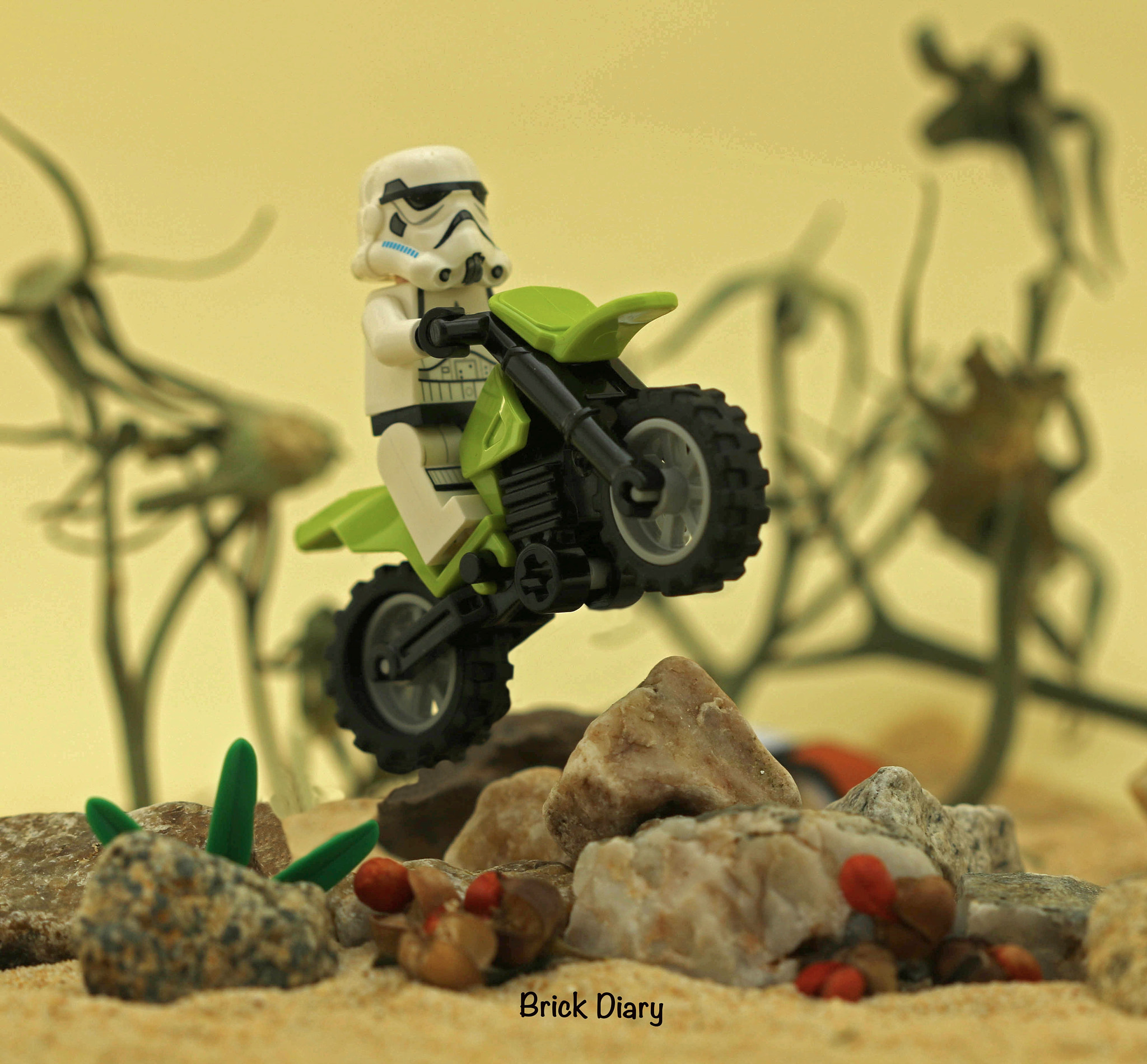 Canon EF 100mm F2.8 Macro USM sample photo. Motocross photography