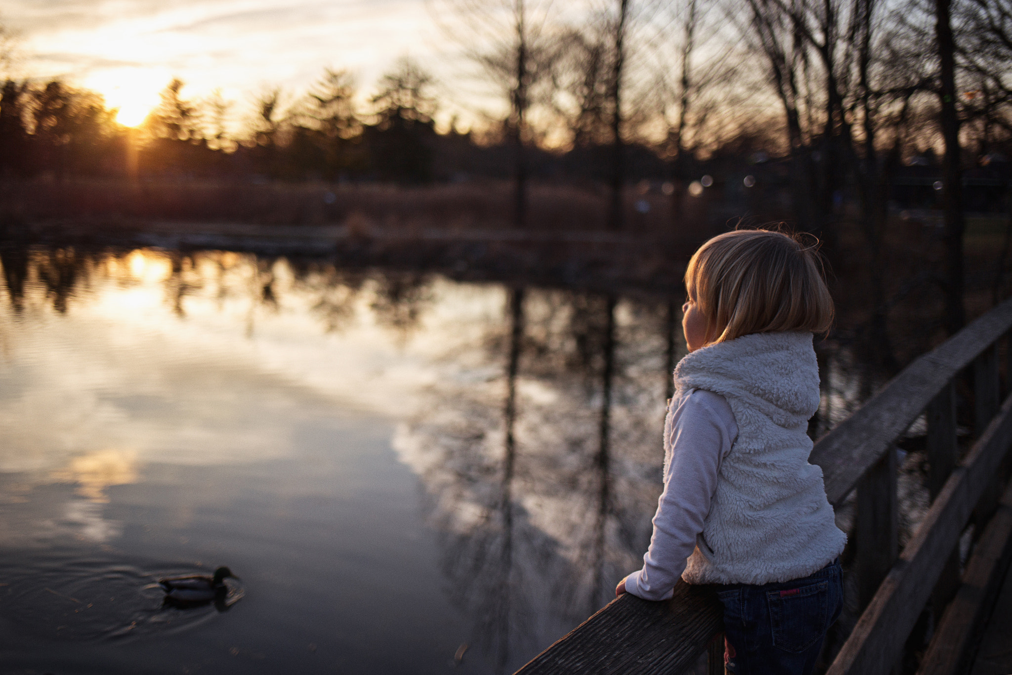 Canon EF 35mm F2 IS USM sample photo. Sunset watching photography