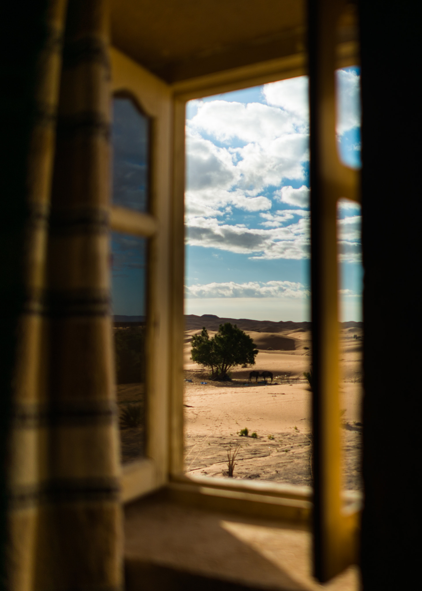 Nikon D800 + Nikon AF-S Nikkor 28mm F1.8G sample photo. Window to the desert photography