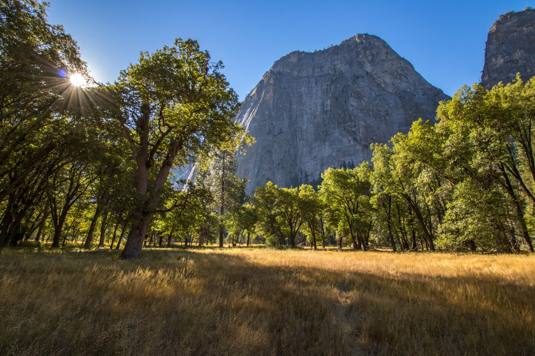 Canon EOS 760D (EOS Rebel T6s / EOS 8000D) sample photo. Looking way from el capitan photography