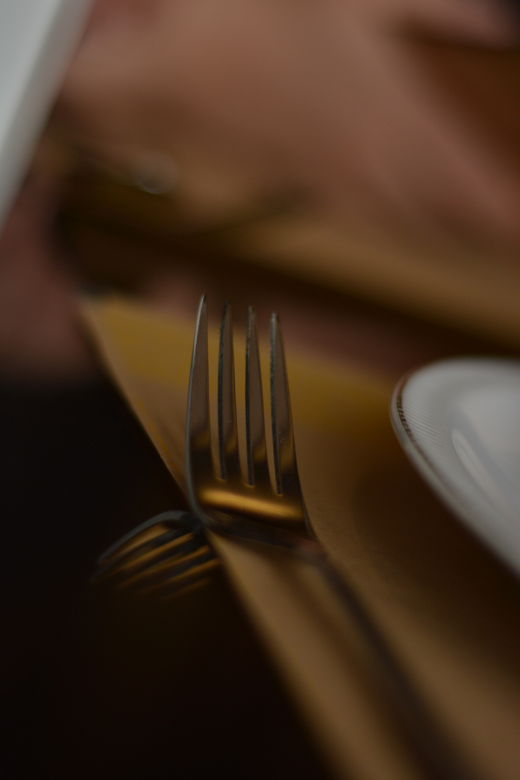 Nikon D5200 + Nikon AF Nikkor 50mm F1.8D sample photo