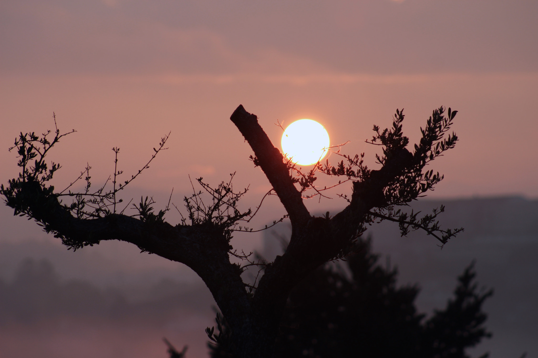 Canon EOS 1200D (EOS Rebel T5 / EOS Kiss X70 / EOS Hi) + EF75-300mm f/4-5.6 sample photo. Sunrise in the summer photography