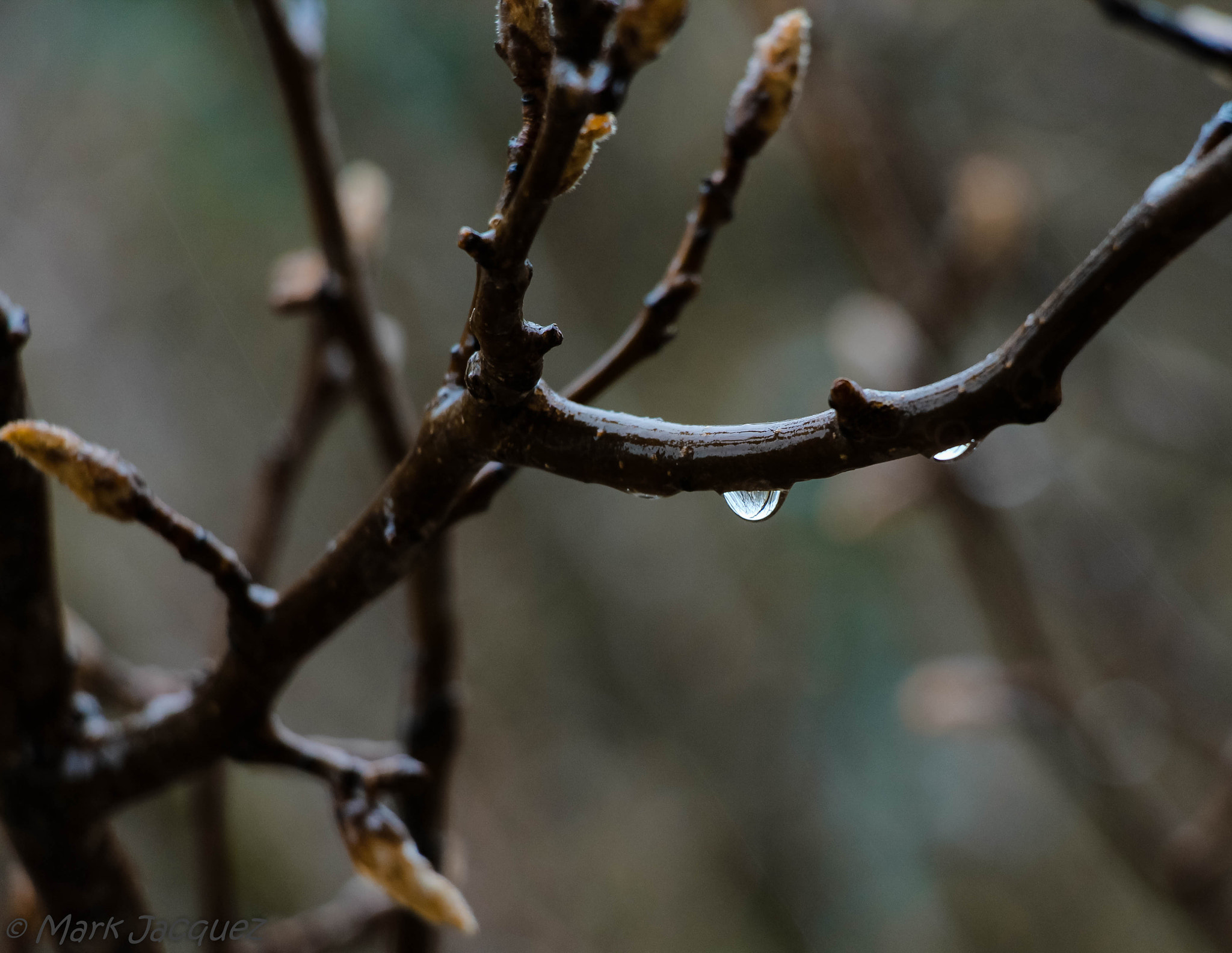 Canon EOS 1200D (EOS Rebel T5 / EOS Kiss X70 / EOS Hi) sample photo. A rainy austin day photography