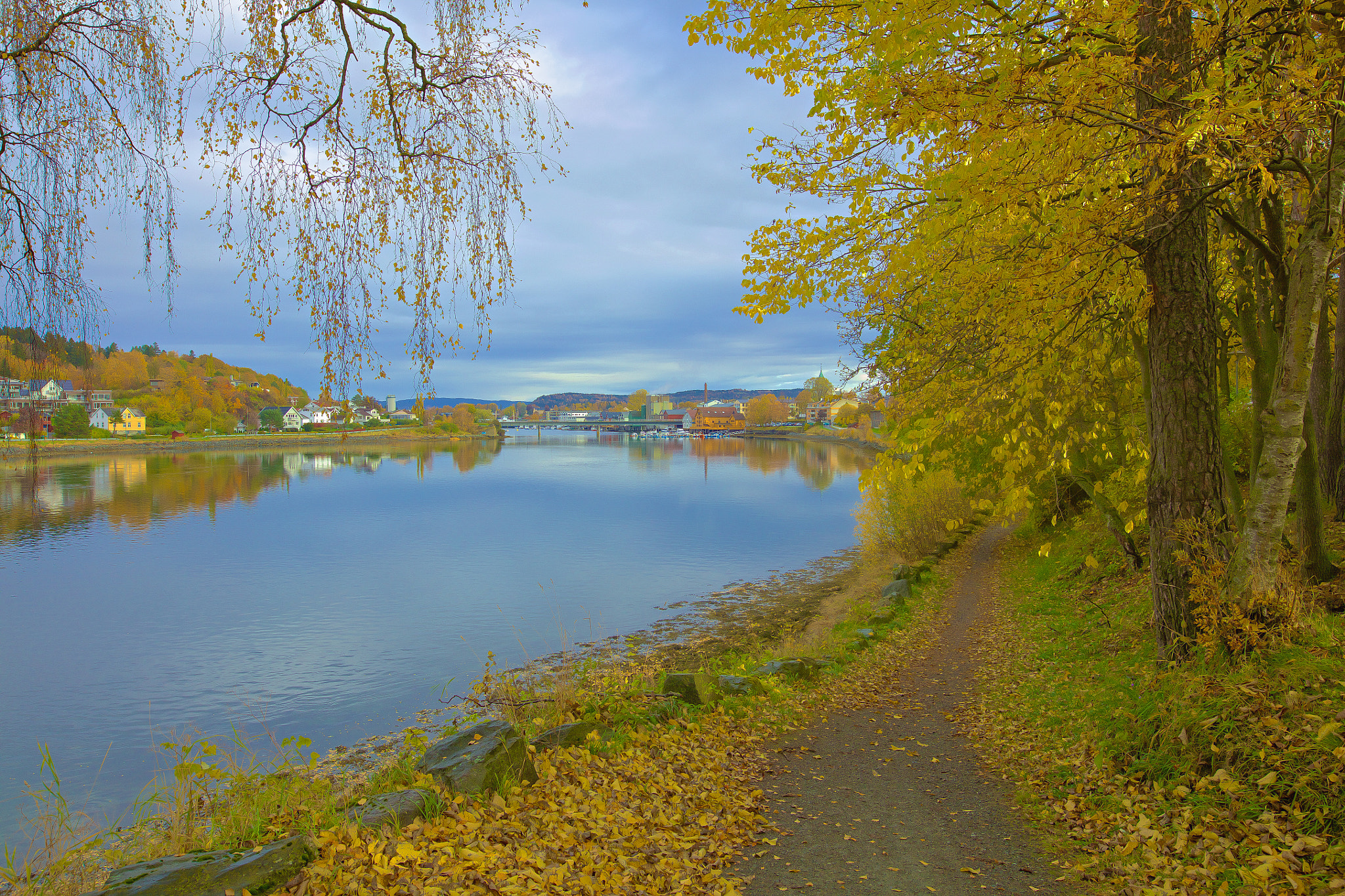 Sigma 24mm F1.4 DG HSM Art sample photo. Autumn path photography