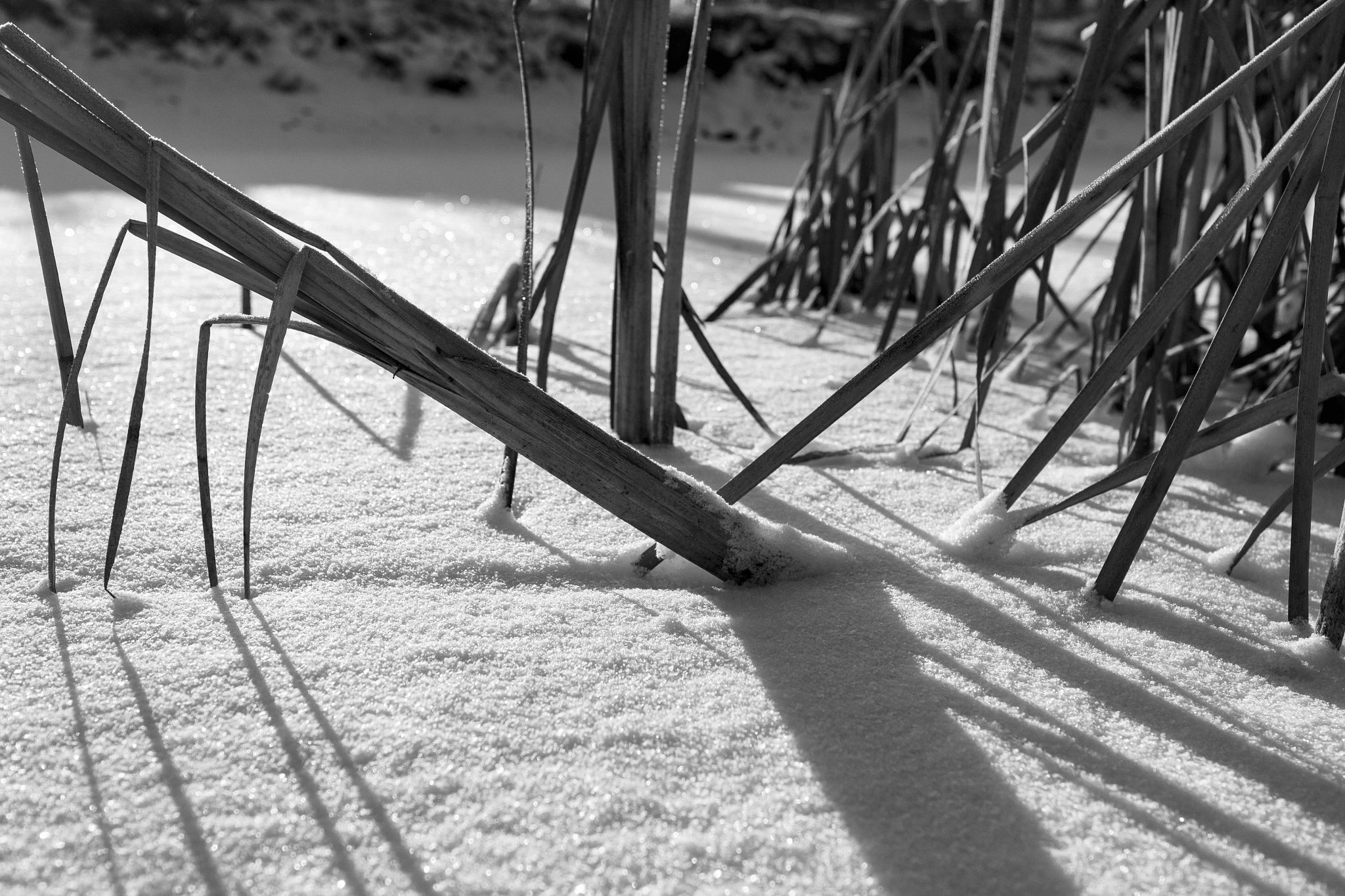 Canon EF 16-35mm F4L IS USM sample photo. Line photography