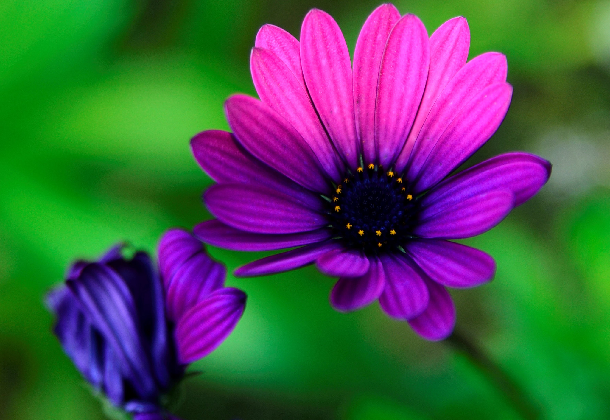 Sigma 24-70mm F2.8 EX DG HSM sample photo. () photography