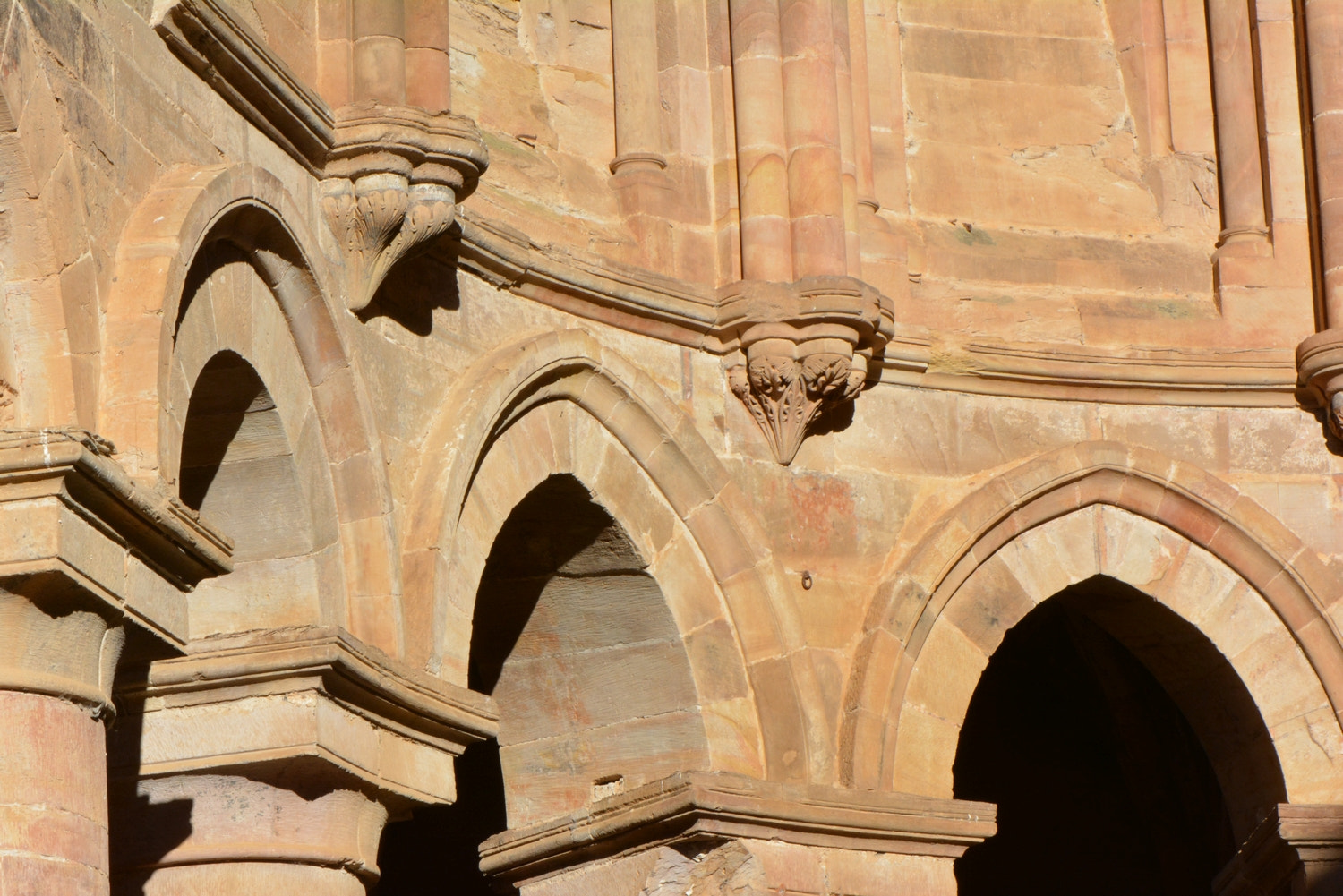 Nikon AF-S Micro-Nikkor 105mm F2.8G IF-ED VR sample photo. 170224_229.jpg photography
