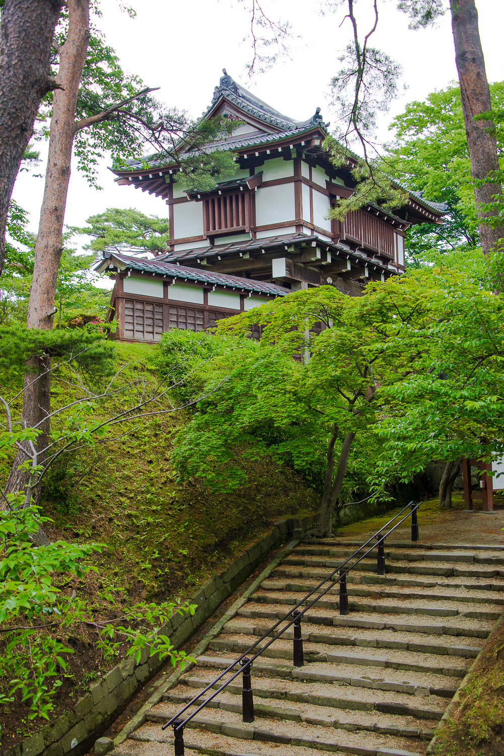 Nikon D600 sample photo. Akita photography