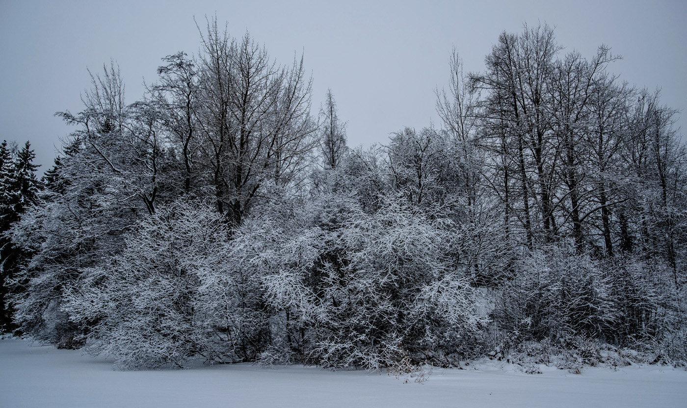 Sony Alpha DSLR-A900 sample photo. Snowy photography