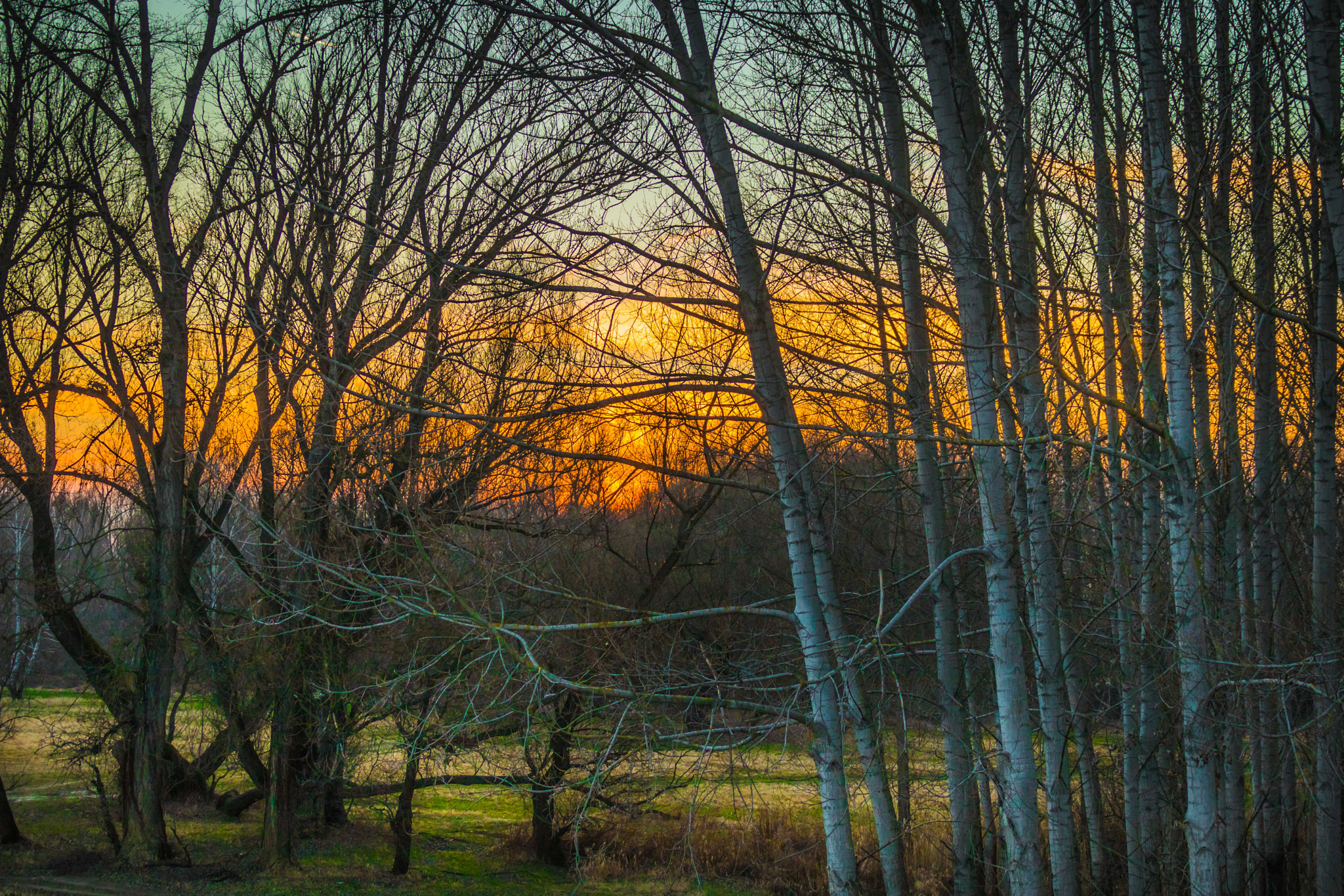 Canon EF 75-300mm F4.0-5.6 IS USM sample photo. Sunset photography