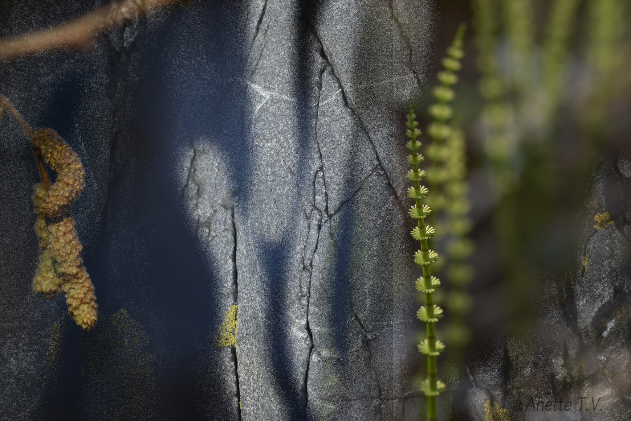 Nikon D5500 sample photo. Mixing art ... photography
