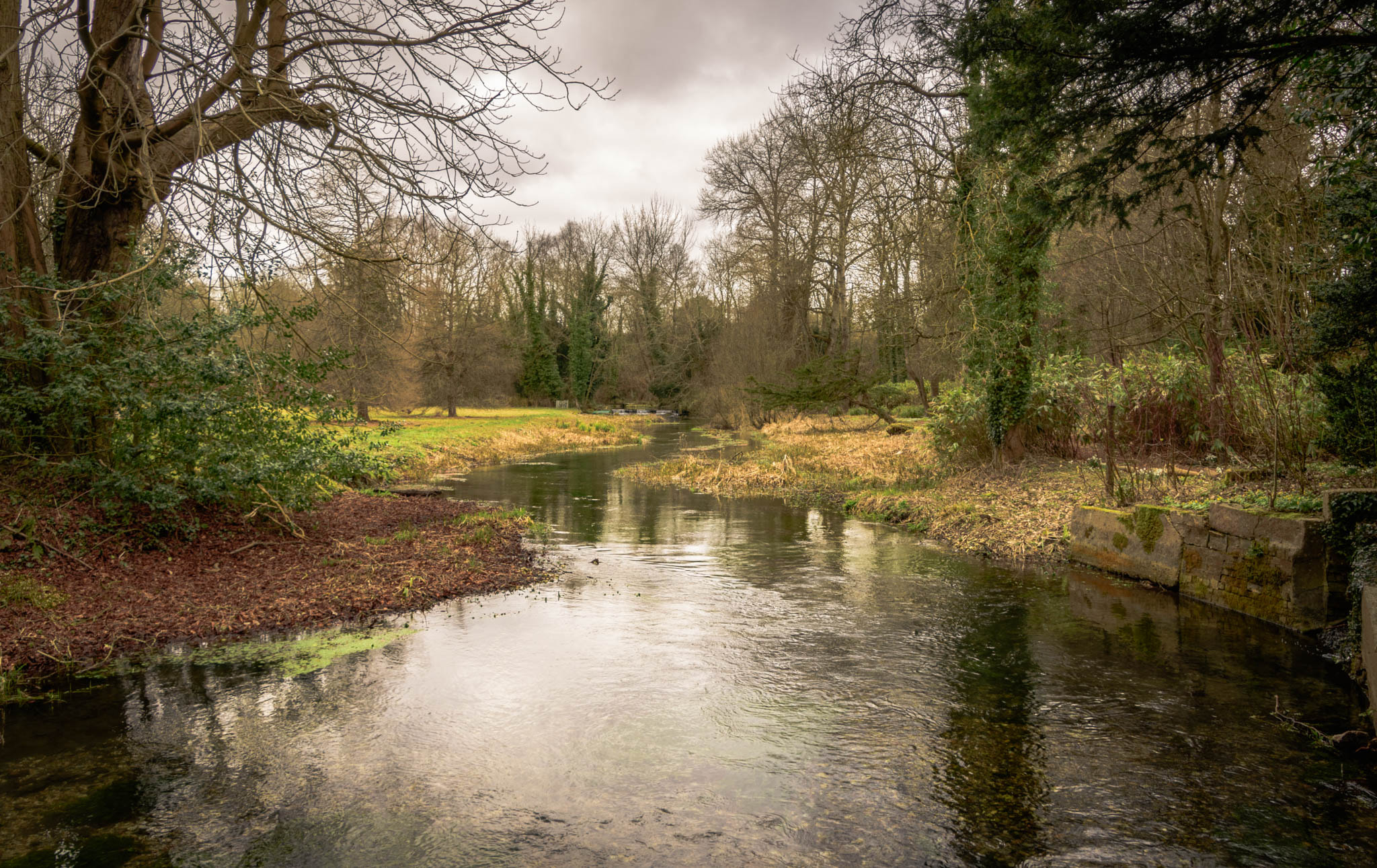 Nikon D7200 sample photo. English countryside photography