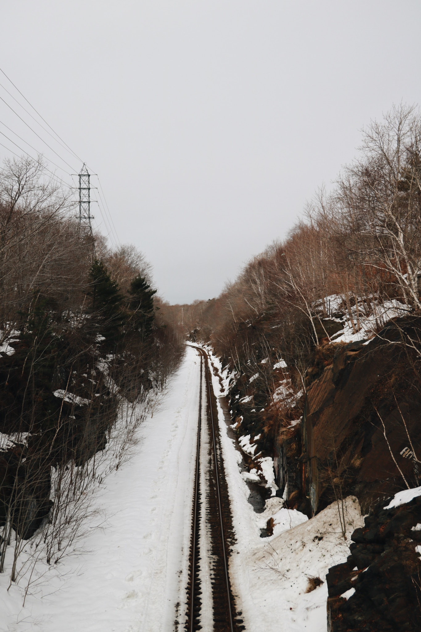 Canon EOS 760D (EOS Rebel T6s / EOS 8000D) sample photo. Lonely train tracks. photography