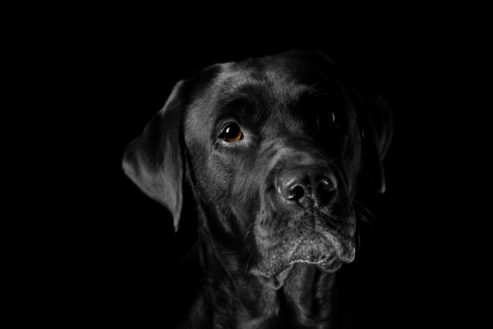 Sony ILCA-77M2 sample photo. Hanne ganz erwachsen photography