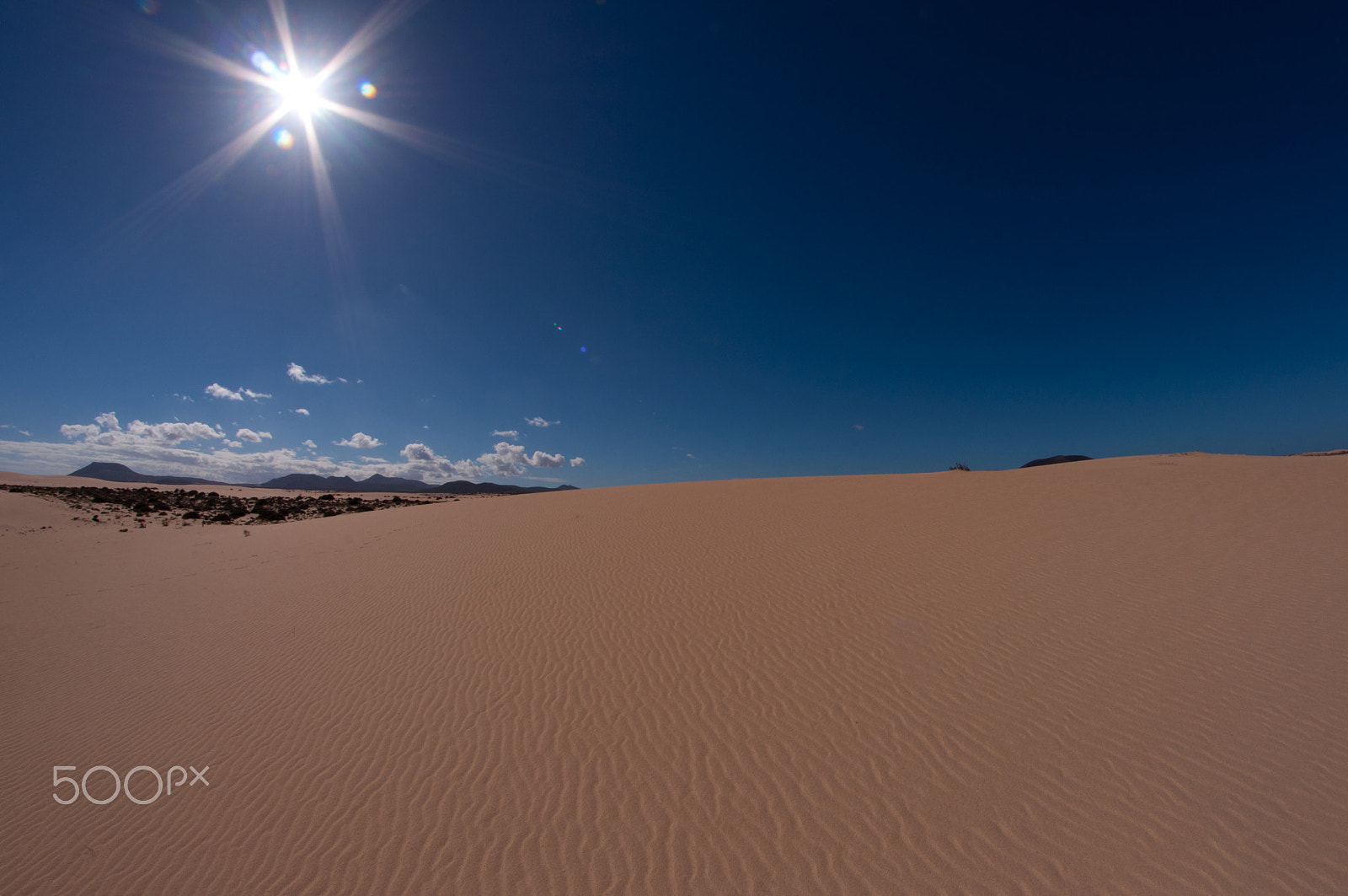 Nikon D90 + Samyang 8mm F3.5 Aspherical IF MC Fisheye sample photo. Desert minimalism photography