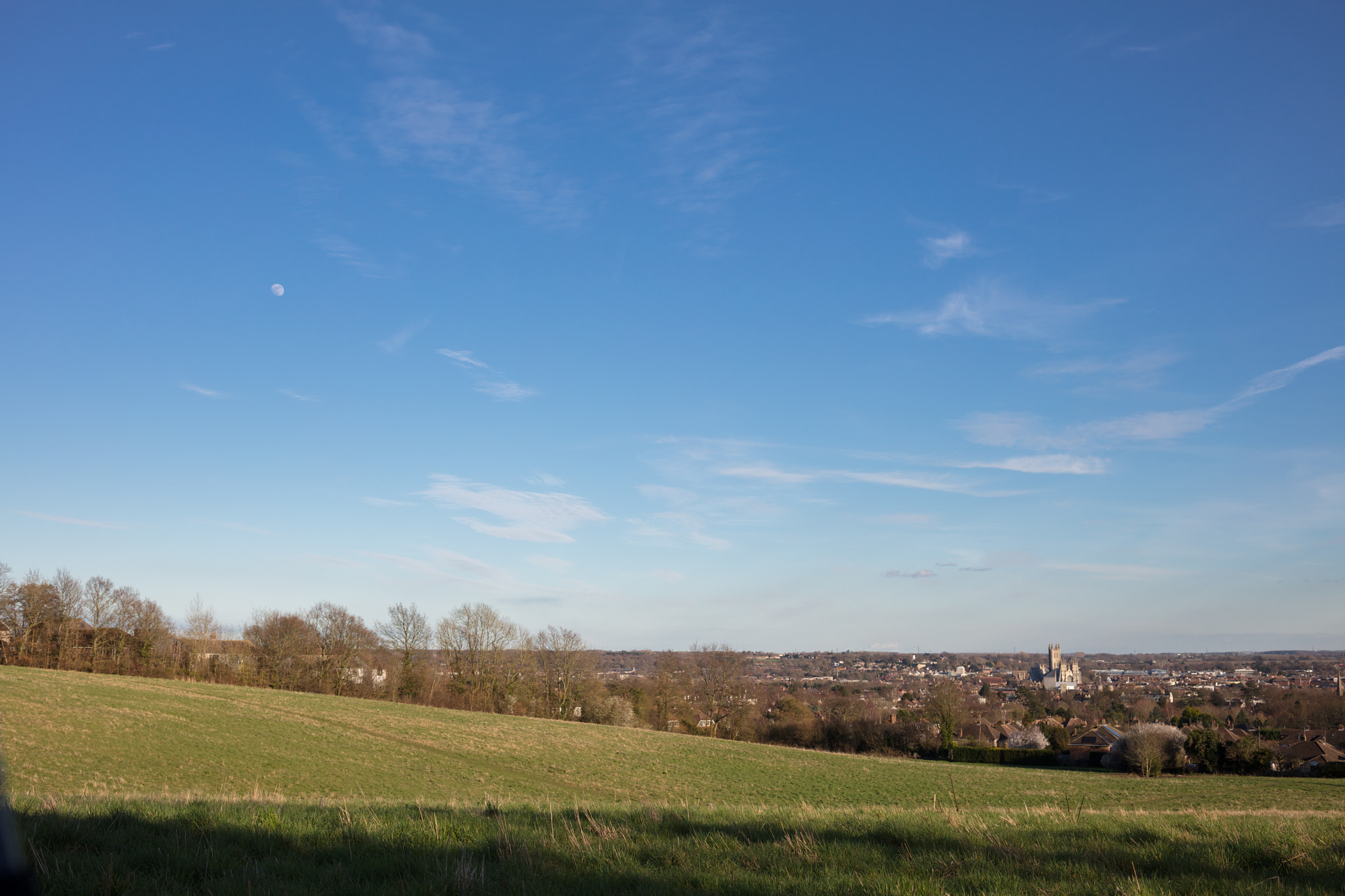 Canon EOS 5DS R + Zeiss Milvus 35mm f/2 sample photo. A moon in spring photography