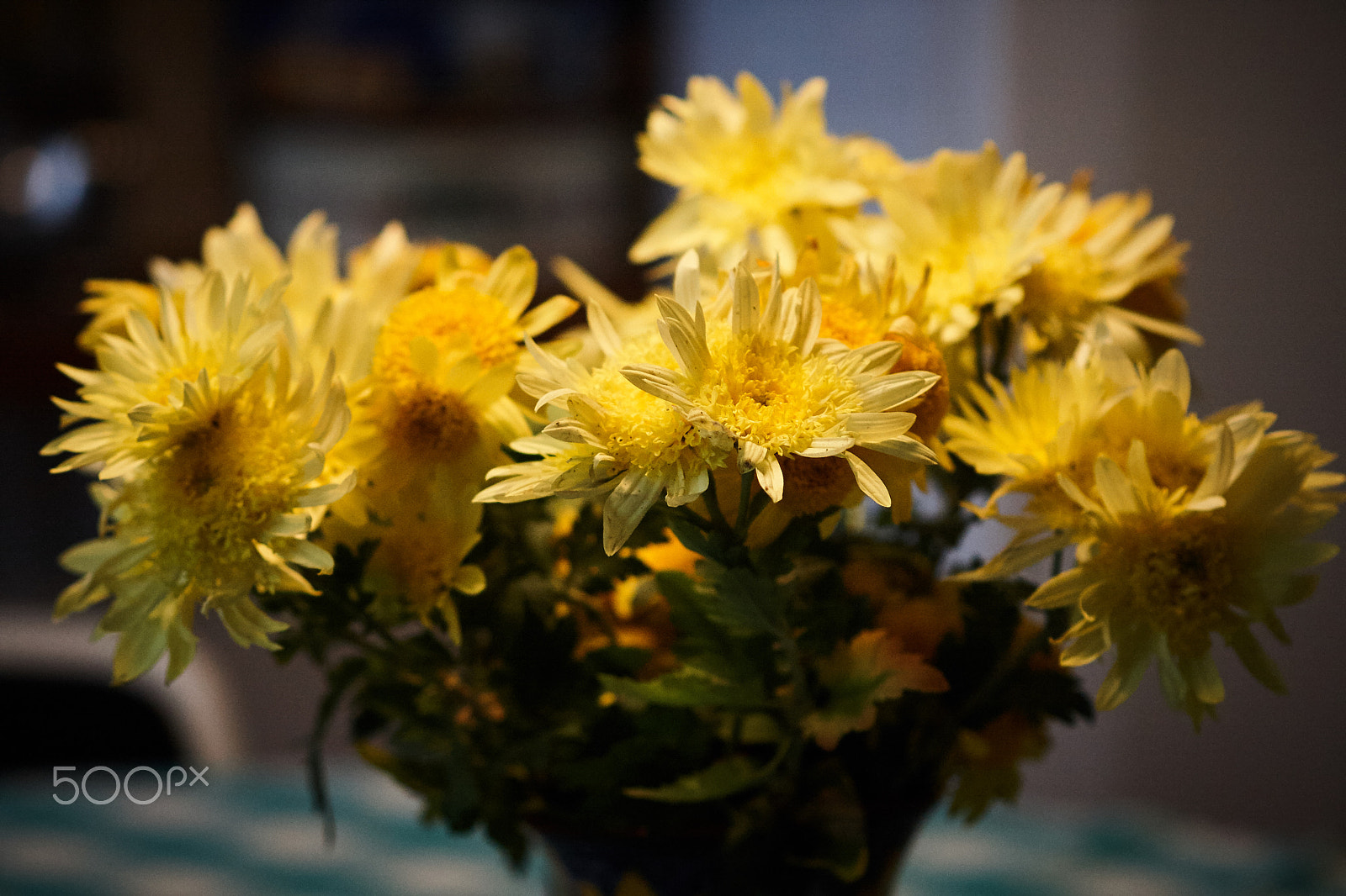 Canon EF 100mm F2.8 Macro USM sample photo. Img photography