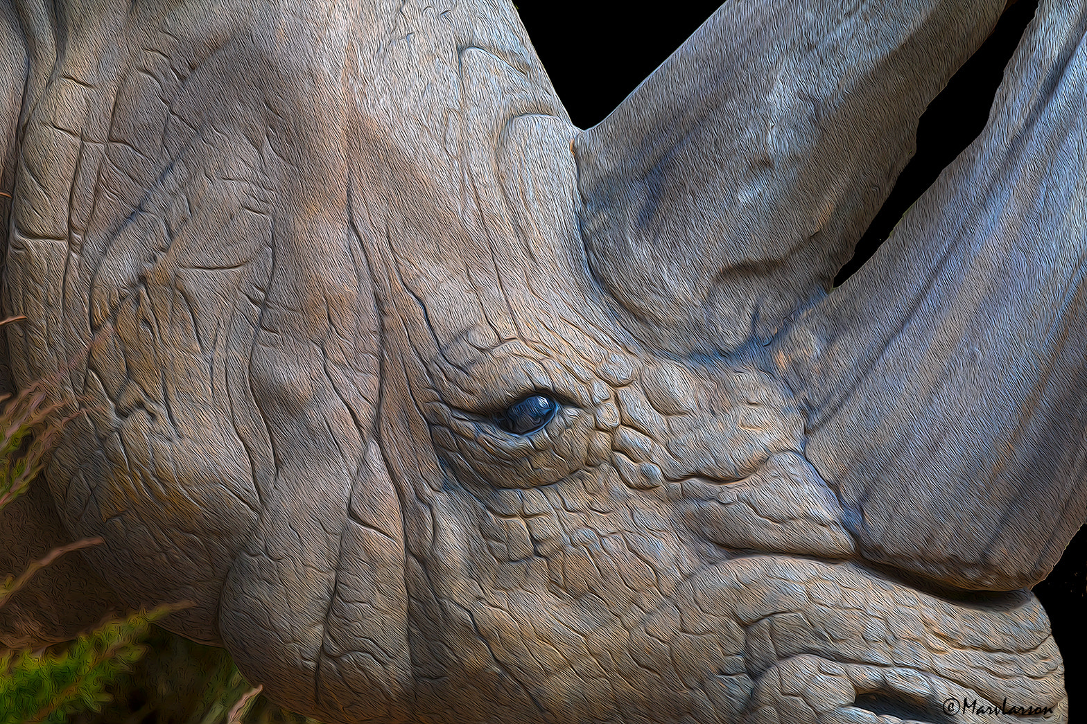 Tamron SP 150-600mm F5-6.3 Di VC USD sample photo. White rhino photography