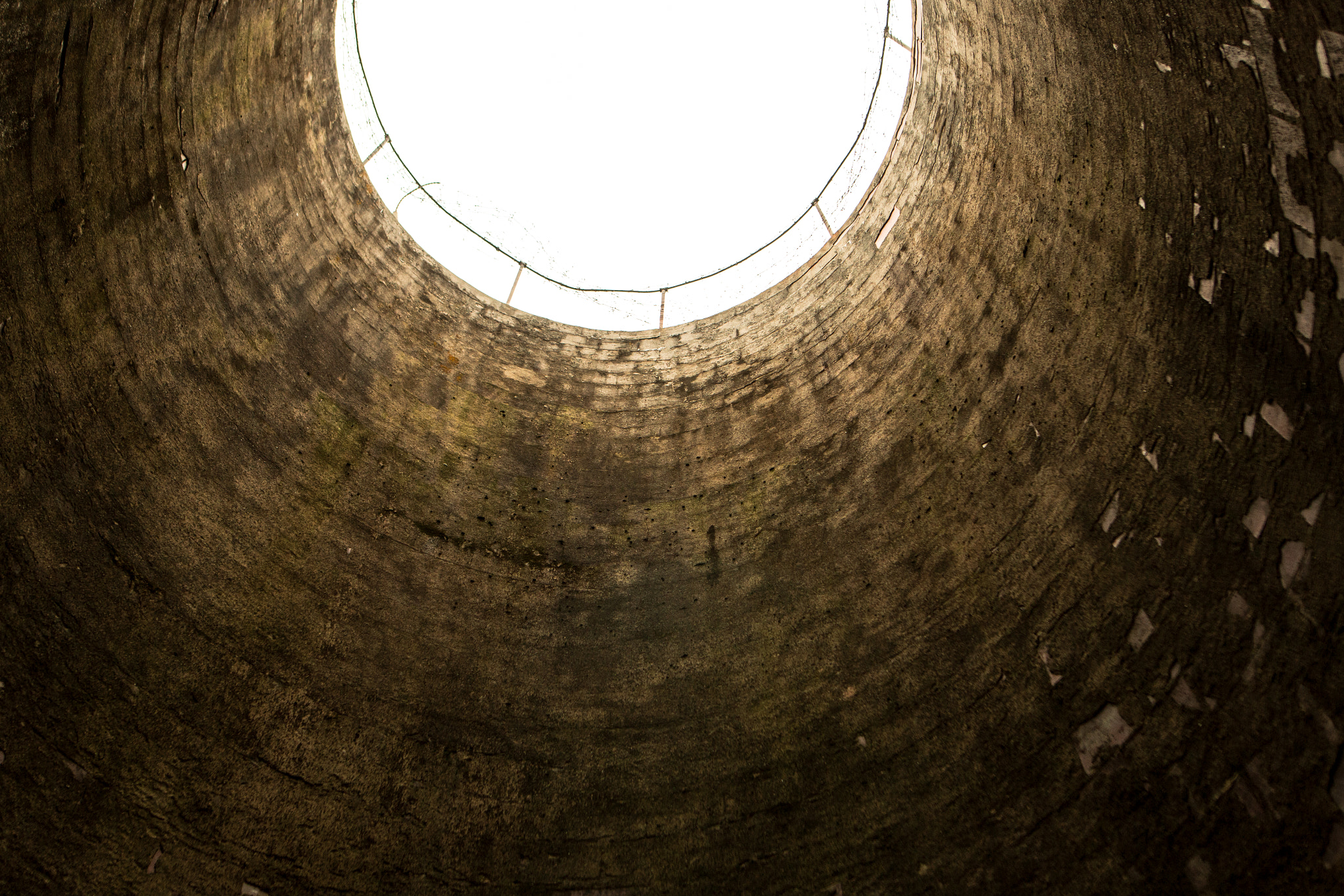 Sigma 24mm F1.4 DG HSM Art sample photo. Upward photography