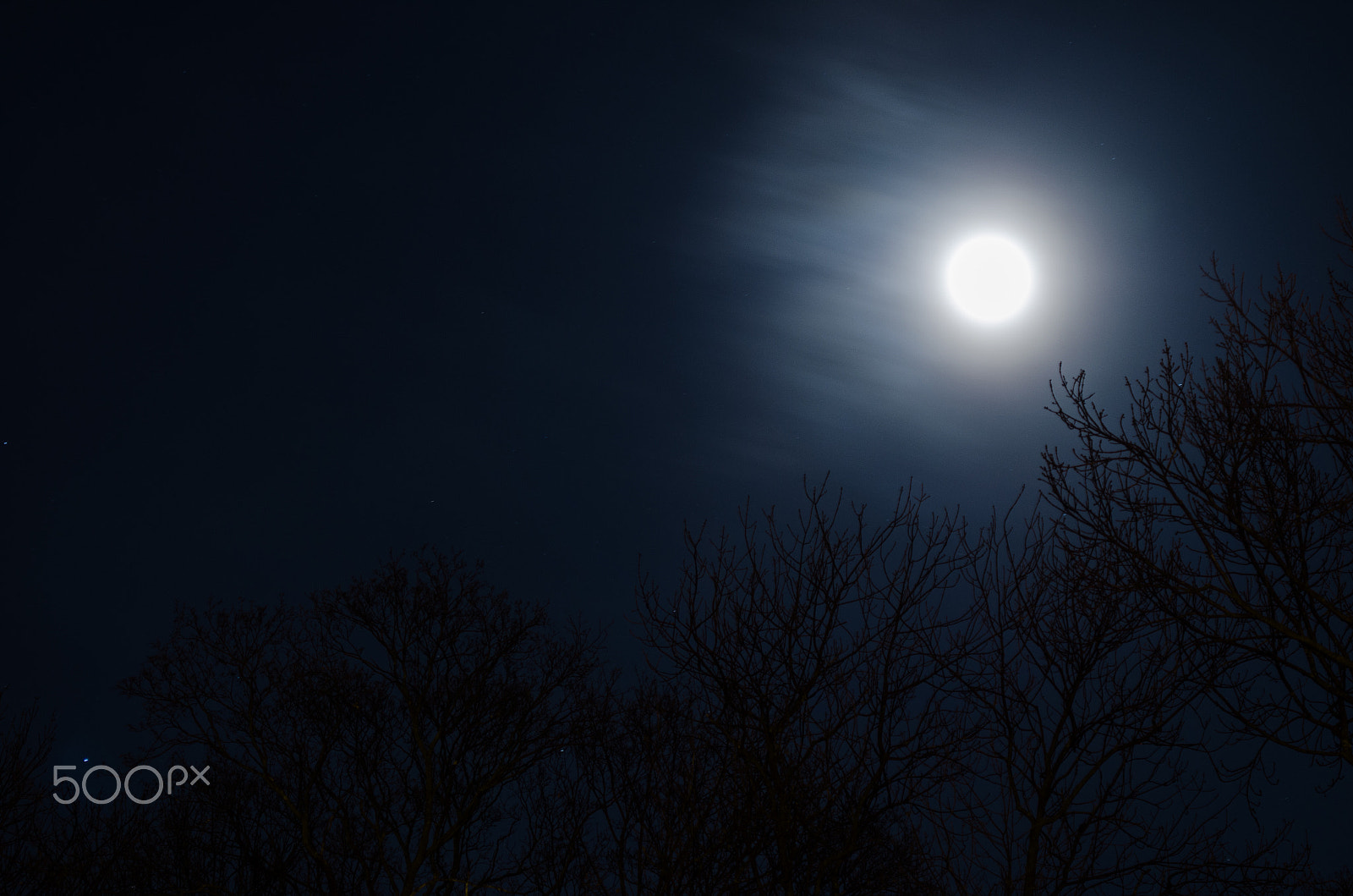 AF Zoom-Nikkor 35-70mm f/3.3-4.5 sample photo. 64/365 photography