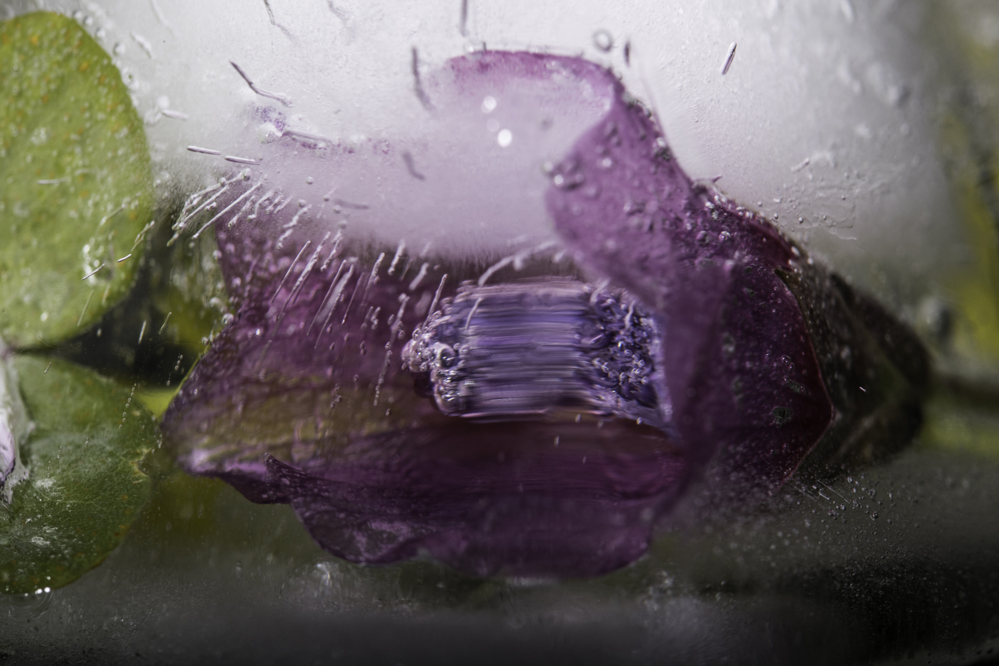 Sigma 105mm F2.8 EX DG OS HSM sample photo