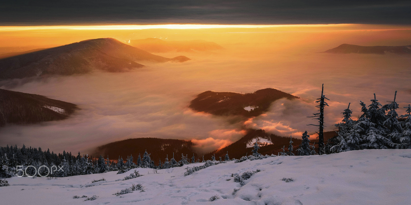Nikon D5500 sample photo. Fog photography