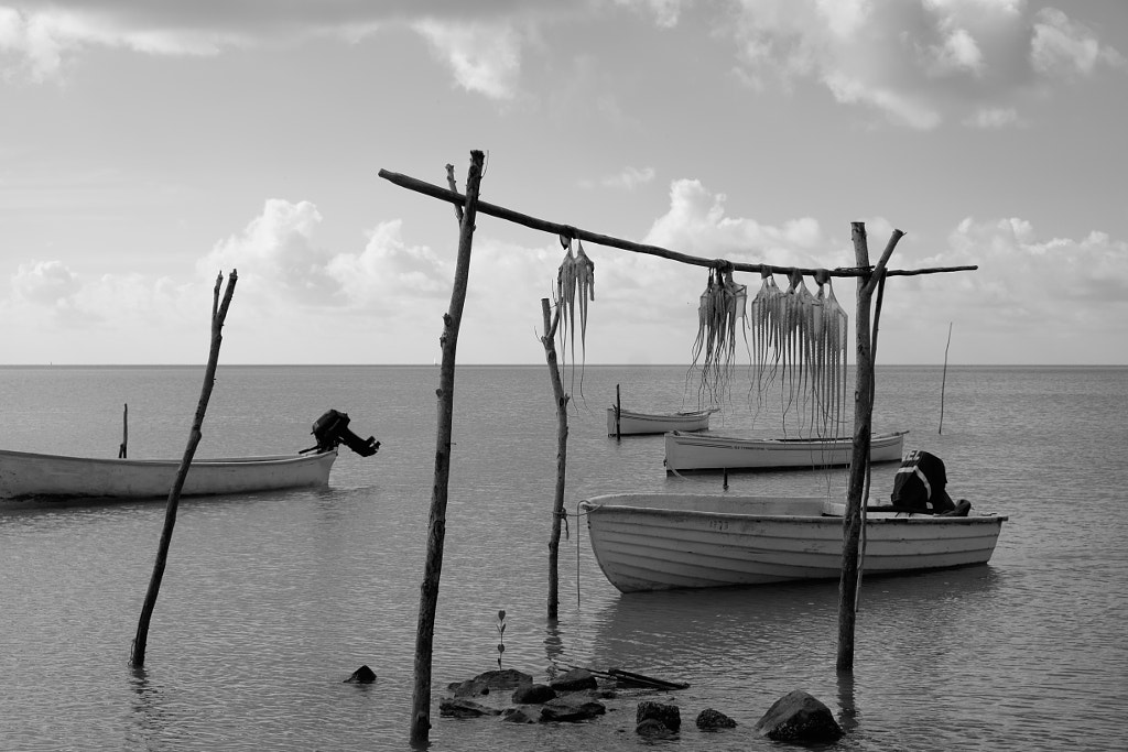 Rodrigues by Wolfgang Werner on 500px.com