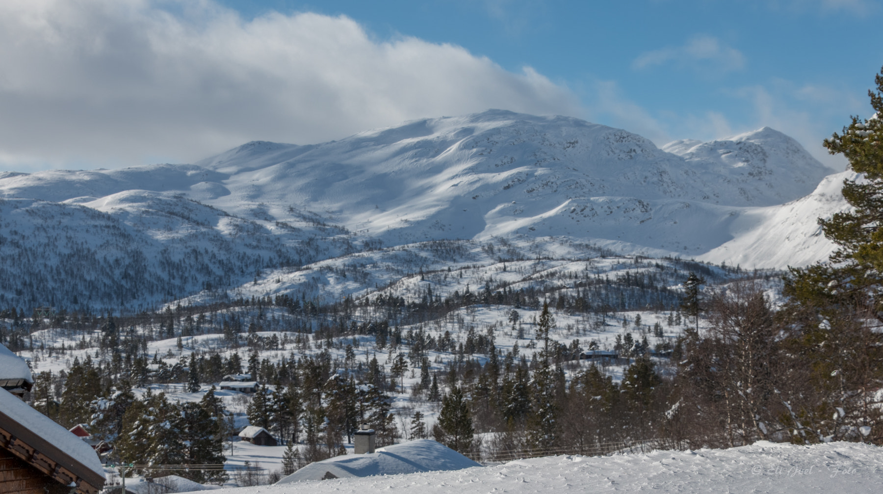 Canon EOS 70D + Tamron 18-270mm F3.5-6.3 Di II VC PZD sample photo. Winter photography