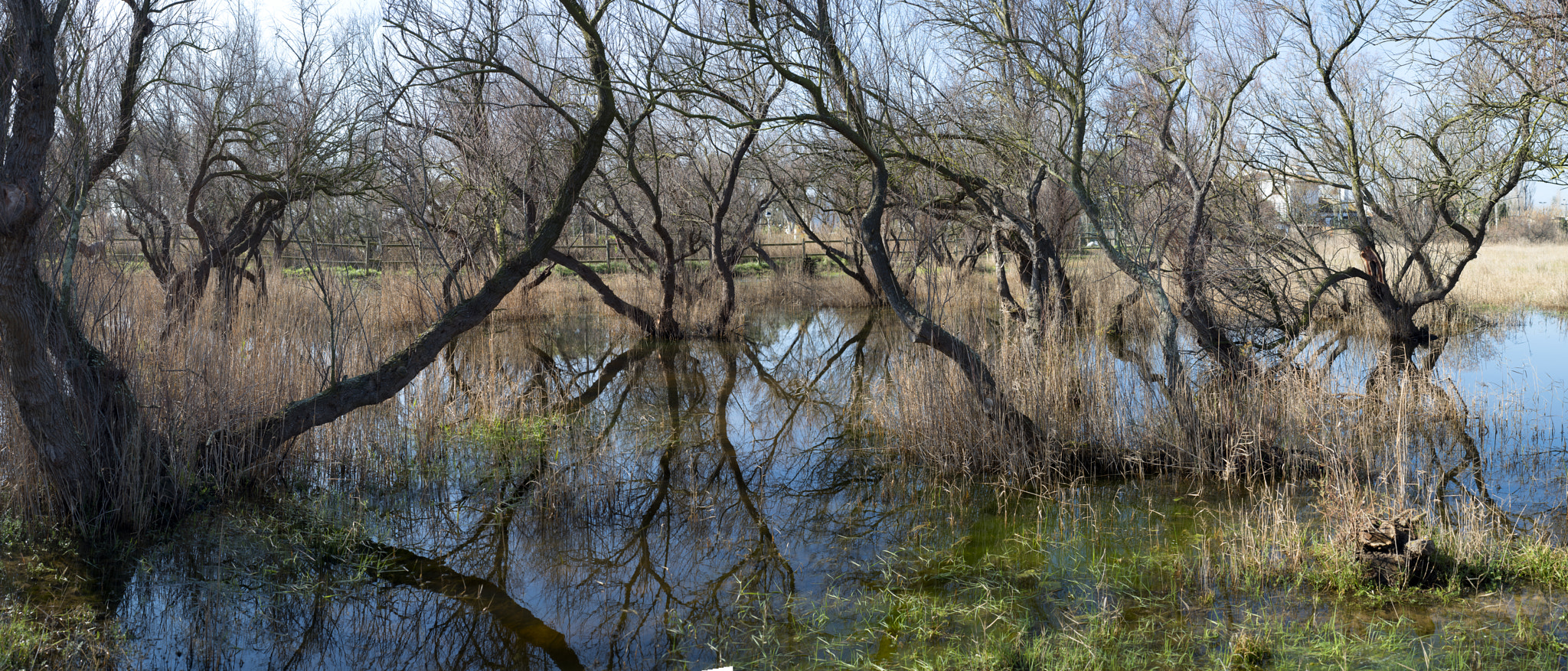 Nikon D750 + AF Nikkor 50mm f/1.8 sample photo. Panoramica photography