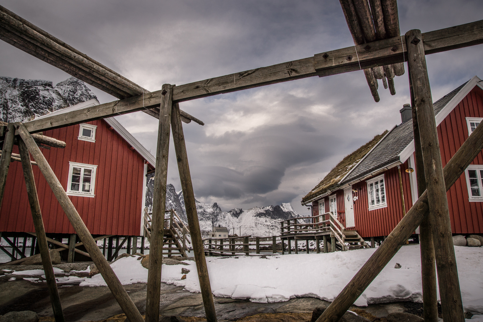 Sony SLT-A65 (SLT-A65V) sample photo. Robuer in lofoten photography