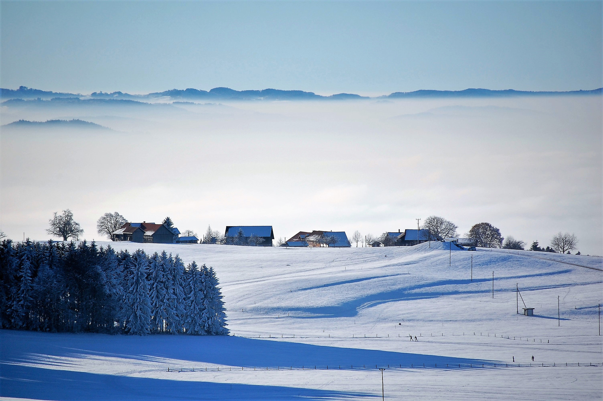 Nikon D40 sample photo. Winter wonderland photography
