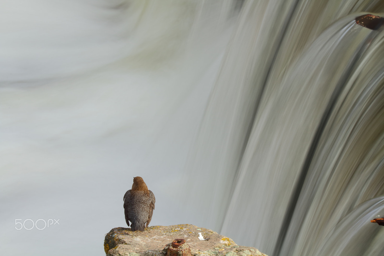 Tamron SP 150-600mm F5-6.3 Di VC USD sample photo. Wasser fall photography